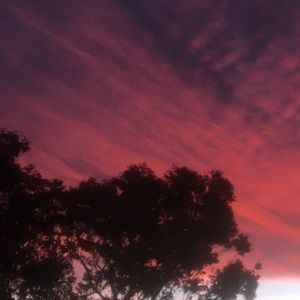 Meet your Posher, Summer